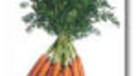 Сокът от моркови за лицето