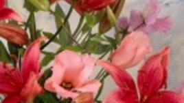 Честит имен ден на Вяра, Вера, Надежда, Любов, Надя, Любен, Любомира, Любомир, София