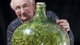 Миниградина в затворена бутилка постави рекорд в градинарството