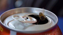 Необичайните ползи от най-известната безалкохолна напитка