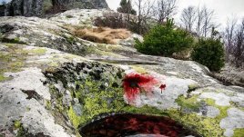 Обречена любов, морален хаос и двама журналисти