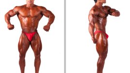 „Твърди“ факти за големината на пениса