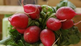 Изключителните ползи за здравето от репичките