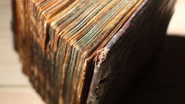 Мисъл на деня