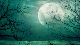 Лунна диета за януари 2015