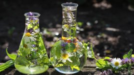 5 любопитни поверия за Ирминден (1 май)