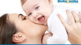 Стволовите клетки – източник на живот