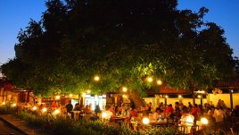 „Дървото на живота“ и още родни филми този уикенд по телевизията