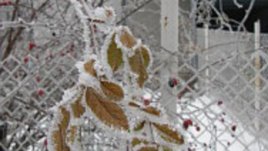 Снежната кралица и ние