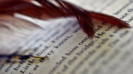 Поредният заплетен случай на детектив Анастасия Каменская