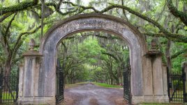 В манастир, или омъжена за принц?