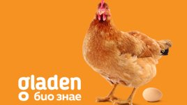 Gladen био знае