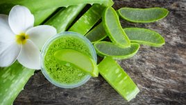 Как алое вера помага на косата