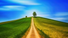 Мисъл на деня за... силата в нас