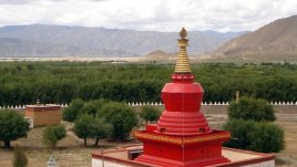 Мисъл на деня