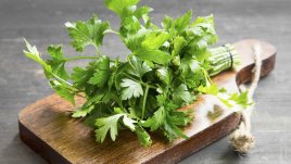 Фантастични ползи за здравето от магданоза 