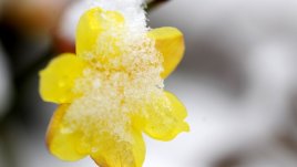 Зимни рецепти за щастие