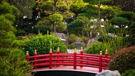 Японски мъдрости, с които да започнете новата година