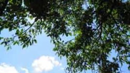 Мързеливи игри за развинтване на въображението