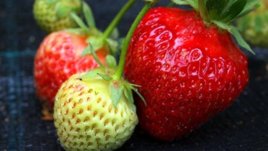 Маска за сияйно лице с ягоди