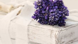 Мисъл на деня за... прекалено хубавото