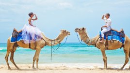 Какъв брак ви очаква с представител на зодия Риби?