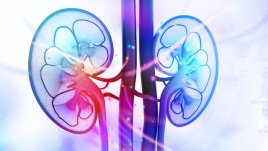 Какво причинява камъни в бъбреците и как да се справим с природни средства?