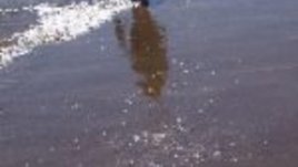 Преоткриване