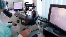 Как естествените грижи правят инвитро процедурите по-успешни?