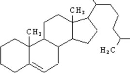 Холестерол