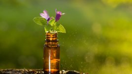 Как да използвате масло от чаено дърво при гъбички по ноктите 