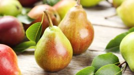 Крушите и невероятните им полезни свойства 