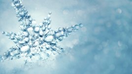 Мисъл на деня