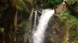 Библейски аспекти на екологията