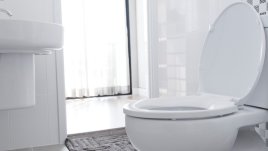 7 неща, които никога да не пускате в тоалетната 