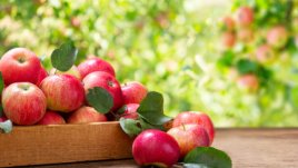 До какво води преяждането с някои храни