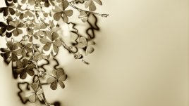 Символи за късмет и предпазване от лоши "очи"