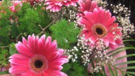 Любовта идва с цветя и закачливо бельо