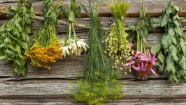 Най-добрите билки против нощно изпотяване и горещи вълни