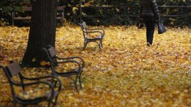 Любовни есенни рими – 6-а част