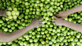 10 храни, които не е задължително да купувате био