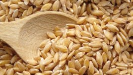 Защо да закусваме?