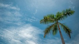 Мисъл на деня за... това, което привличаме