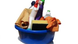 Идеалната домакиня