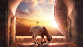 Курбан за здраве на летен Петковден – болните оздравяват