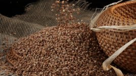 3-те най-здравословни семена