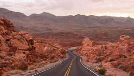 Мисъл на деня за... пътя, по който се движим