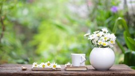 11 правила за дълъг живот от Петър Дънов