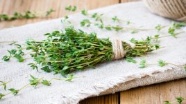 Защо мащерката е толкова полезна за здравето и в ежедневието 