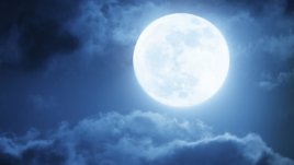 Лунна диета за март 2015